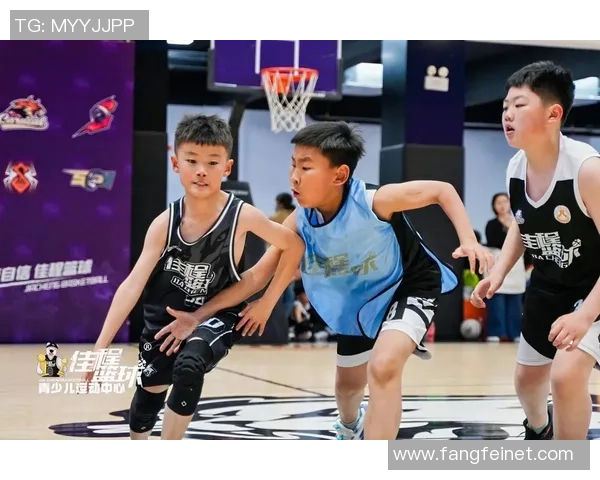 怼篮球:从街头对抗到职业赛场的热血传奇与青春回忆